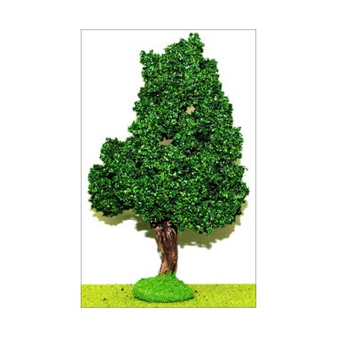 Hêtre 180 mm Hêtre 180 mm