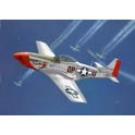 Maquette North American P-51D Mustang, 2ème GM