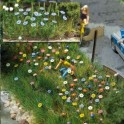 Fleurs d'été