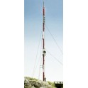 Antenne mat, lumineuse avec commande