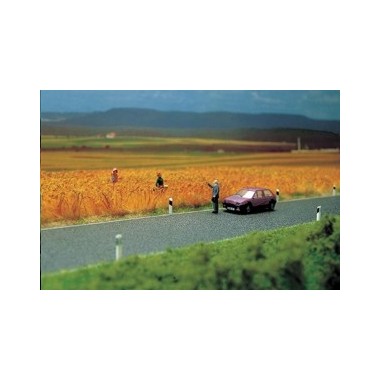 Route de campagne sans marquages