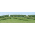 Haies taillées rondes vert moyen / vert clair