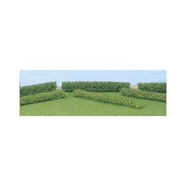 Haies taillées rondes vert moyen / vert clair