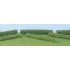 Haies taillées rondes vert moyen / vert clair