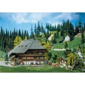 Maquette Ferme de la Forêt-Noire, Epoque 1