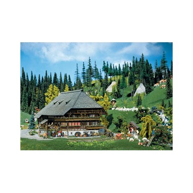 Maquette Ferme de la Forêt-Noire, Epoque 1