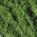 Flocage vert mai, 120 grs