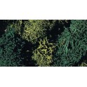 Lichens coloris vert 80 grs