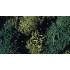 Lichens coloris vert 80 grs