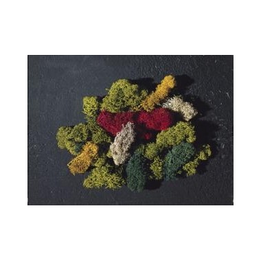 Lichens coloris assortis 80 grs