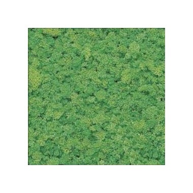 Flocage vert moyen, 15 grs Flocage vert moyen, 15 grs