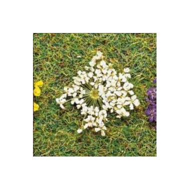 Fleurs blanches, 100 pièces