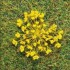 Fleurs jaunes, 100 pièces