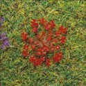 Fleurs rouges, 100 pièces