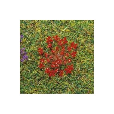 Fleurs rouges, 100 pièces
