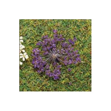 Fleurs lilas, 100 pièces