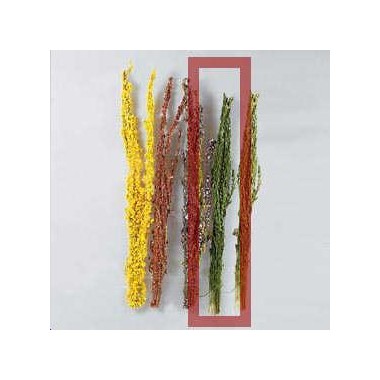 Epis fleurs vert foncé