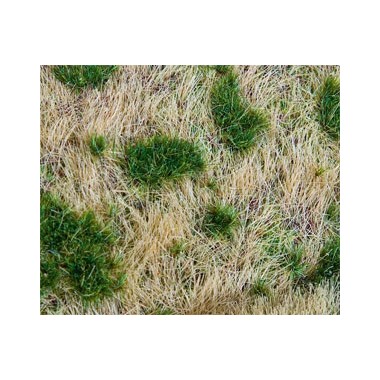 Segment de paysage Premium, Remblai/Talus