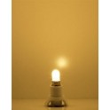 Ampoule LED 12/16V avec socle, ton blanc chaud