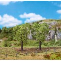 Ormes, 100 mm