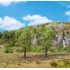 Ormes, 100 mm