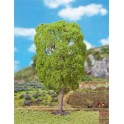 Châtaignier, 200 mm