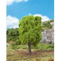 Tilleul au printemps, 140 mm