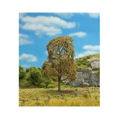 Tilleul en automne, 160 mm Tilleul en automne, 160 mm
