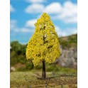 Chêne Premium, Feuillage d'automne, 145 mm