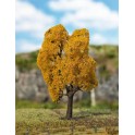 Erable Premium, Feuillage d'automne, 135 mm