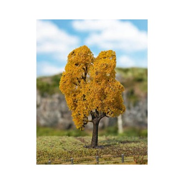 Erable Premium, Feuillage d'automne, 135 mm