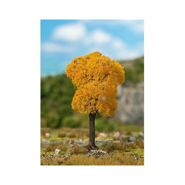 Frêne Premium, Feuillage d'automne, 95 mm