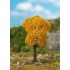 Frêne Premium, Feuillage d'automne, 95 mm