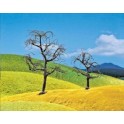 Arbres dénudés 70 à 120 mm