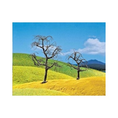 Arbres dénudés 70 à 120 mm