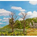 Arbres dénudés Premium, 120 mm