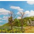 Arbres dénudés Premium, 120 mm