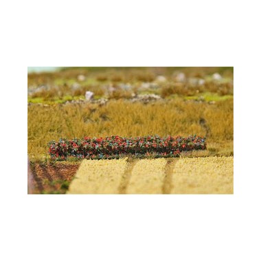 Haies Premium, Vacances d'automne, 4 pièces