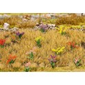 Plantes Fleuries, 40 pièces
