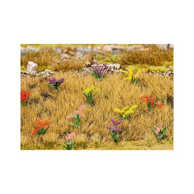 Plantes Fleuries, 40 pièces