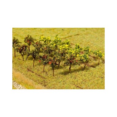 Arbres fruitiers, 12 pièces