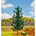 Sapin 210 mm