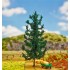 Sapin 210 mm