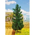 Sapin 210 mm