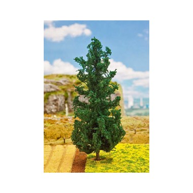 Sapin 210 mm