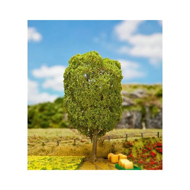 Tilleul 200 mm