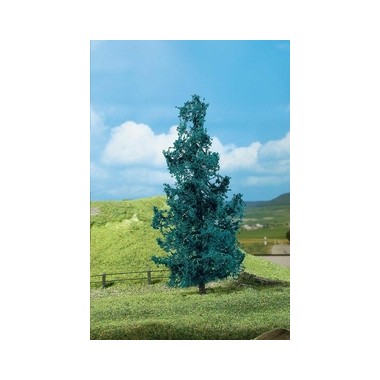 Sapins bleus 50 à 70 mm
