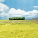 Haies vert clair