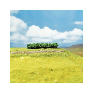 Haies vert clair