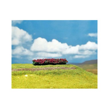 Haies fleurs rouges